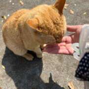 ヒメ日記 2025/04/07 12:52 投稿 浅野 熟女の風俗最終章　鶯谷店