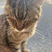 ヒメ日記 2025/04/30 17:37 投稿 浅野 熟女の風俗最終章　鶯谷店