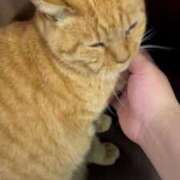 ヒメ日記 2025/05/06 17:06 投稿 浅野 熟女の風俗最終章　鶯谷店