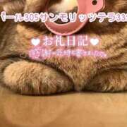 ヒメ日記 2025/05/08 20:36 投稿 浅野 熟女の風俗最終章　鶯谷店