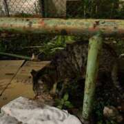 ヒメ日記 2025/05/13 00:46 投稿 浅野 熟女の風俗最終章　鶯谷店