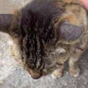 ヒメ日記 2025/05/18 16:26 投稿 浅野 熟女の風俗最終章　鶯谷店