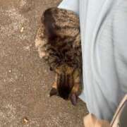 ヒメ日記 2025/05/19 17:56 投稿 浅野 熟女の風俗最終章　鶯谷店