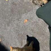 ヒメ日記 2025/06/05 19:36 投稿 浅野 熟女の風俗最終章　鶯谷店