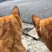 ヒメ日記 2025/10/23 16:56 投稿 浅野 熟女の風俗最終章　鶯谷店