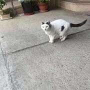 ヒメ日記 2025/11/18 17:33 投稿 浅野 熟女の風俗最終章　鶯谷店