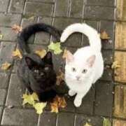 ヒメ日記 2026/03/31 20:38 投稿 浅野 熟女の風俗最終章　鶯谷店