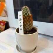 ヒメ日記 2026/04/06 00:26 投稿 浅野 熟女の風俗最終章　鶯谷店