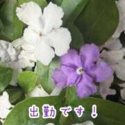 ヒメ日記 2026/05/12 21:31 投稿 浅野 熟女の風俗最終章　鶯谷店