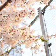 ヒメ日記 2025/04/07 13:14 投稿 朝霧ツムギ ビギナーズエステ ROOMiE＋（ルーミープラス）