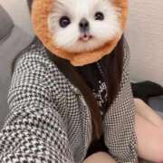 みか 今日の色は… デザインプリズム新宿