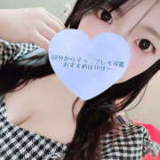 ヒメ日記 2025/12/06 14:09 投稿 ゆきか 鎌倉御殿 新館