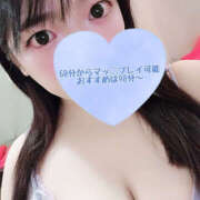 ヒメ日記 2025/12/31 15:03 投稿 ゆきか 鎌倉御殿 新館