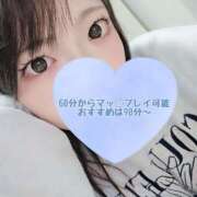 ヒメ日記 2026/02/19 23:06 投稿 ゆきか 鎌倉御殿 新館