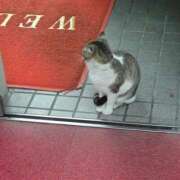 ヒメ日記 2026/02/28 23:18 投稿 ゆきか 鎌倉御殿 新館