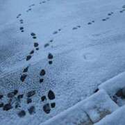 ヒメ日記 2025/02/24 08:28 投稿 ☆かすみ(38)☆ ◆プラウディア◆AAA級素人娘在籍店