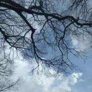 ヒメ日記 2026/02/24 23:38 投稿 ☆かすみ(38)☆ ◆プラウディア◆AAA級素人娘在籍店