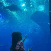 ヒメ日記 2025/09/28 00:24 投稿 さら カノジョ感　逆セーラー服しか勝たん　錦店