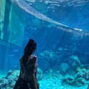 ヒメ日記 2026/04/03 17:34 投稿 さら カノジョ感　逆セーラー服しか勝たん　錦店