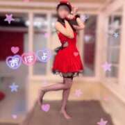 ヒメ日記 2024/12/19 06:45 投稿 はれ 英乃國屋