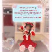 ヒメ日記 2024/12/20 07:03 投稿 はれ 英乃國屋