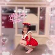 ヒメ日記 2024/12/20 08:04 投稿 はれ 英乃國屋