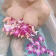 ヒメ日記 2026/02/02 07:39 投稿 桃園しま ザイオン 会員制アロマエステ