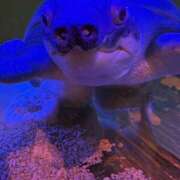 ヒメ日記 2025/05/17 05:03 投稿 渡邉みお 厚木OL委員会