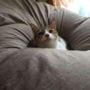 ヒメ日記 2026/01/31 13:26 投稿 大原まいみ ワイフコレクション