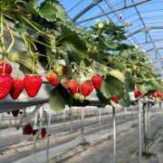 宮坂きみこ 久しぶりに♡ テレジア大阪