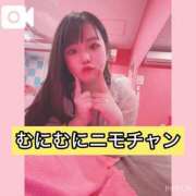 ヒメ日記 2025/01/06 13:10 投稿 ニモ マリン熊本本店