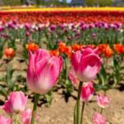 ヒメ日記 2025/02/08 09:48 投稿 はる エディーズ