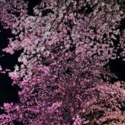 ヒメ日記 2025/03/30 15:36 投稿 はる エディーズ