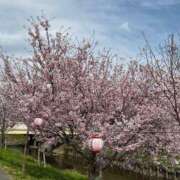 ヒメ日記 2025/04/05 16:26 投稿 はる エディーズ