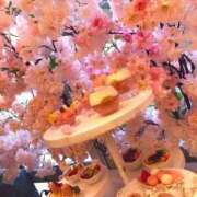 紅葉 こんにちは🌸 バッキンガム