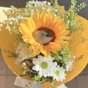 ヒメ日記 2025/05/27 23:10 投稿 ひまり しろうとCollection