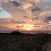 ひまり ひまりです🌻 しろうとCollection