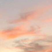 ひまり ひまりです🌻 しろうとCollection