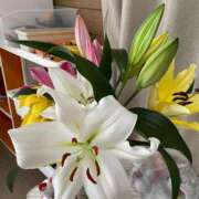 ヒメ日記 2025/02/15 09:35 投稿 やよい 完熟ばなな西川口