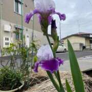 ヒメ日記 2025/05/09 09:47 投稿 やよい 完熟ばなな西川口