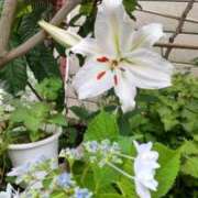 ヒメ日記 2025/07/19 09:44 投稿 やよい 完熟ばなな西川口