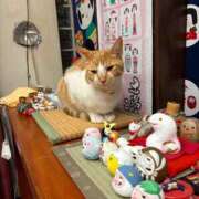 ヒメ日記 2026/01/22 10:49 投稿 やよい 完熟ばなな西川口