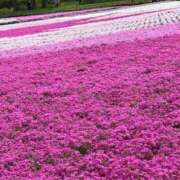 ヒメ日記 2026/04/18 10:26 投稿 やよい 完熟ばなな西川口