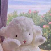 ヒメ日記 2025/03/22 16:00 投稿 ひつじ 新宿ハンドメイド