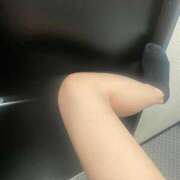 ヒメ日記 2025/04/09 09:01 投稿 ひつじ 新宿ハンドメイド