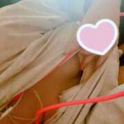 ヒメ日記 2025/04/27 08:02 投稿 ひつじ 新宿ハンドメイド