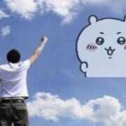 ヒメ日記 2025/06/12 10:04 投稿 ひつじ 新宿ハンドメイド