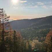 ヒメ日記 2025/01/03 21:03 投稿 はな 厚木人妻城