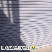 ヒメ日記 2025/04/02 15:18 投稿 はな 厚木人妻城