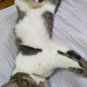 ヒメ日記 2025/06/23 20:08 投稿 はな 厚木人妻城